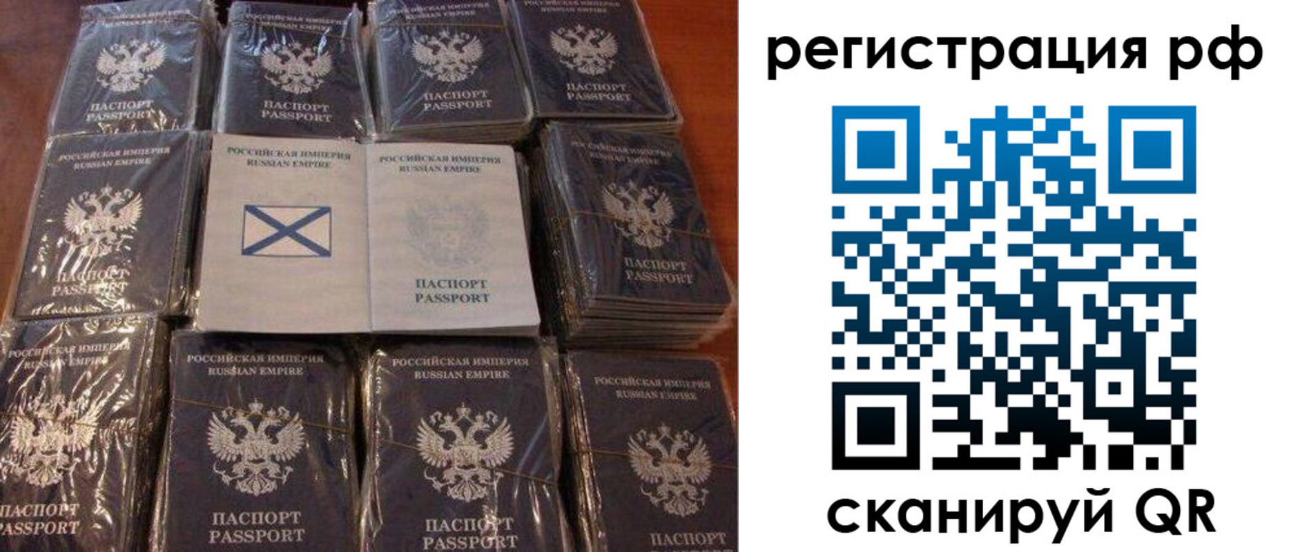 найти адрес прописки в Купино